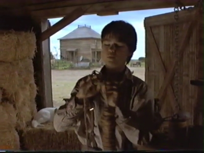 1998_-_Summer_of_the_Monkeys_03_mp41244.jpg