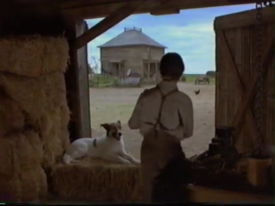 1998_-_Summer_of_the_Monkeys_03_mp41255.jpg