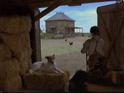 1998_-_Summer_of_the_Monkeys_03_mp41256.jpg