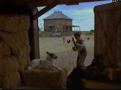 1998_-_Summer_of_the_Monkeys_03_mp41260.jpg