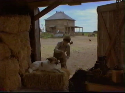 1998_-_Summer_of_the_Monkeys_03_mp41265.jpg