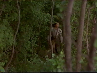 1998_-_Summer_of_the_Monkeys_03_mp41277.jpg