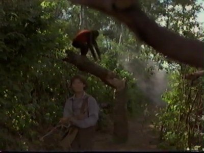 1998_-_Summer_of_the_Monkeys_03_mp41306.jpg