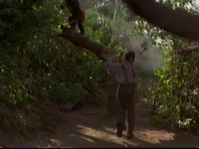 1998_-_Summer_of_the_Monkeys_03_mp41313.jpg