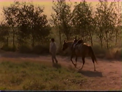 1998_-_Summer_of_the_Monkeys_10_mp45259.jpg