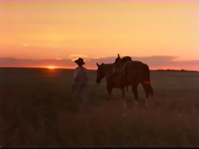 1998_-_Summer_of_the_Monkeys_10_mp45297.jpg
