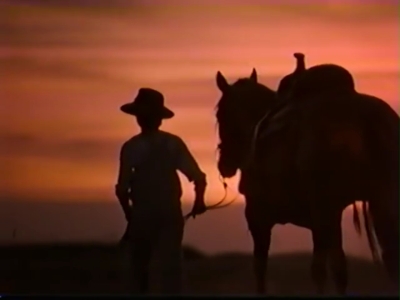 1998_-_Summer_of_the_Monkeys_10_mp45314.jpg