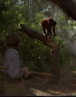 Filename=1998_-_Summer_of_the_Monkeys_03_mp41309.jpg
Filesize=478KiB
Dimensions=1280x960
Date added=Aug 13, 2025 1998_-_Summer_of_the_Monkeys_03_mp41309.jpg