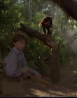 Filename=1998_-_Summer_of_the_Monkeys_03_mp41310.jpg
Filesize=457KiB
Dimensions=1280x960
Date added=Aug 13, 2025 1998_-_Summer_of_the_Monkeys_03_mp41310.jpg