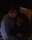Filename=1998_-_Summer_of_the_Monkeys_09_mp44458.jpg
Filesize=154KiB
Dimensions=1280x960
Date added=Aug 13, 2025 1998_-_Summer_of_the_Monkeys_09_mp44458.jpg