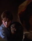 Filename=1998_-_Summer_of_the_Monkeys_09_mp44461.jpg
Filesize=208KiB
Dimensions=1280x960
Date added=Aug 13, 2025 1998_-_Summer_of_the_Monkeys_09_mp44461.jpg