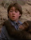 Filename=1998_-_Summer_of_the_Monkeys_09_mp44479.jpg
Filesize=384KiB
Dimensions=1280x960
Date added=Aug 13, 2025 1998_-_Summer_of_the_Monkeys_09_mp44479.jpg