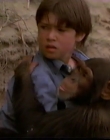 Filename=1998_-_Summer_of_the_Monkeys_09_mp44481.jpg
Filesize=404KiB
Dimensions=1280x960
Date added=Aug 13, 2025 1998_-_Summer_of_the_Monkeys_09_mp44481.jpg