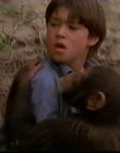 Filename=1998_-_Summer_of_the_Monkeys_09_mp44483.jpg
Filesize=386KiB
Dimensions=1280x960
Date added=Aug 13, 2025 1998_-_Summer_of_the_Monkeys_09_mp44483.jpg