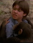 Filename=1998_-_Summer_of_the_Monkeys_09_mp44484.jpg
Filesize=387KiB
Dimensions=1280x960
Date added=Aug 13, 2025 1998_-_Summer_of_the_Monkeys_09_mp44484.jpg