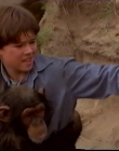 Filename=1998_-_Summer_of_the_Monkeys_09_mp44492.jpg
Filesize=386KiB
Dimensions=1280x960
Date added=Aug 13, 2025 1998_-_Summer_of_the_Monkeys_09_mp44492.jpg