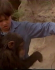 Filename=1998_-_Summer_of_the_Monkeys_09_mp44493.jpg
Filesize=367KiB
Dimensions=1280x960
Date added=Aug 13, 2025 1998_-_Summer_of_the_Monkeys_09_mp44493.jpg