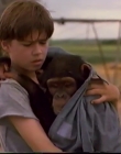 Filename=1998_-_Summer_of_the_Monkeys_09_mp44538.jpg
Filesize=378KiB
Dimensions=1280x960
Date added=Aug 13, 2025 1998_-_Summer_of_the_Monkeys_09_mp44538.jpg