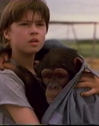 Filename=1998_-_Summer_of_the_Monkeys_09_mp44540.jpg
Filesize=374KiB
Dimensions=1280x960
Date added=Aug 13, 2025 1998_-_Summer_of_the_Monkeys_09_mp44540.jpg