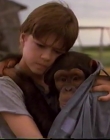 Filename=1998_-_Summer_of_the_Monkeys_09_mp44543.jpg
Filesize=360KiB
Dimensions=1280x960
Date added=Aug 13, 2025 1998_-_Summer_of_the_Monkeys_09_mp44543.jpg