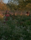 Filename=1998-1999_-_Little_Men_S01E01_mkv1348.jpg
Filesize=630KiB
Dimensions=1280x960
Date added=Aug 13, 2025 1998-1999_-_Little_Men_S01E01_mkv1348.jpg