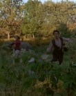 Filename=1998-1999_-_Little_Men_S01E01_mkv1374.jpg
Filesize=597KiB
Dimensions=1280x960
Date added=Aug 13, 2025 1998-1999_-_Little_Men_S01E01_mkv1374.jpg