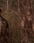 Filename=1998-1999_-_Little_Men_S01E04_mkv1361.jpg
Filesize=599KiB
Dimensions=1280x960
Date added=Aug 13, 2025 1998-1999_-_Little_Men_S01E04_mkv1361.jpg