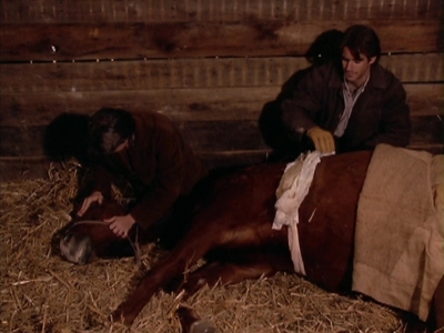1998-1999_-_Little_Men_S01E07_mkv2218.jpg