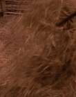 Filename=1998-1999_-_Little_Men_S01E07_mkv1628.jpg
Filesize=436KiB
Dimensions=1280x960
Date added=Aug 13, 2025 1998-1999_-_Little_Men_S01E07_mkv1628.jpg