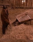 Filename=1998-1999_-_Little_Men_S01E07_mkv1640.jpg
Filesize=645KiB
Dimensions=1280x960
Date added=Aug 13, 2025 1998-1999_-_Little_Men_S01E07_mkv1640.jpg