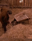Filename=1998-1999_-_Little_Men_S01E07_mkv1641.jpg
Filesize=608KiB
Dimensions=1280x960
Date added=Aug 13, 2025 1998-1999_-_Little_Men_S01E07_mkv1641.jpg