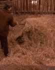 Filename=1998-1999_-_Little_Men_S01E07_mkv1642.jpg
Filesize=603KiB
Dimensions=1280x960
Date added=Aug 13, 2025 1998-1999_-_Little_Men_S01E07_mkv1642.jpg
