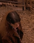 Filename=1998-1999_-_Little_Men_S01E07_mkv1663.jpg
Filesize=593KiB
Dimensions=1280x960
Date added=Aug 13, 2025 1998-1999_-_Little_Men_S01E07_mkv1663.jpg