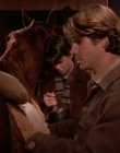Filename=1998-1999_-_Little_Men_S01E07_mkv1916.jpg
Filesize=425KiB
Dimensions=1280x960
Date added=Aug 13, 2025 1998-1999_-_Little_Men_S01E07_mkv1916.jpg