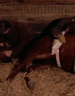 Filename=1998-1999_-_Little_Men_S01E07_mkv2208.jpg
Filesize=529KiB
Dimensions=1280x960
Date added=Aug 13, 2025 1998-1999_-_Little_Men_S01E07_mkv2208.jpg