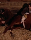 Filename=1998-1999_-_Little_Men_S01E07_mkv2209.jpg
Filesize=542KiB
Dimensions=1280x960
Date added=Aug 13, 2025 1998-1999_-_Little_Men_S01E07_mkv2209.jpg