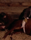 Filename=1998-1999_-_Little_Men_S01E07_mkv2213.jpg
Filesize=502KiB
Dimensions=1280x960
Date added=Aug 13, 2025 1998-1999_-_Little_Men_S01E07_mkv2213.jpg