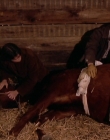 Filename=1998-1999_-_Little_Men_S01E07_mkv2214.jpg
Filesize=500KiB
Dimensions=1280x960
Date added=Aug 13, 2025 1998-1999_-_Little_Men_S01E07_mkv2214.jpg