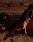Filename=1998-1999_-_Little_Men_S01E07_mkv2215.jpg
Filesize=505KiB
Dimensions=1280x960
Date added=Aug 13, 2025 1998-1999_-_Little_Men_S01E07_mkv2215.jpg