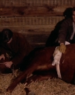 Filename=1998-1999_-_Little_Men_S01E07_mkv2216.jpg
Filesize=500KiB
Dimensions=1280x960
Date added=Aug 13, 2025 1998-1999_-_Little_Men_S01E07_mkv2216.jpg
