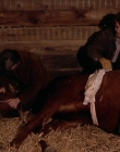 Filename=1998-1999_-_Little_Men_S01E07_mkv2218.jpg
Filesize=500KiB
Dimensions=1280x960
Date added=Aug 13, 2025 1998-1999_-_Little_Men_S01E07_mkv2218.jpg