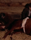 Filename=1998-1999_-_Little_Men_S01E07_mkv2219.jpg
Filesize=502KiB
Dimensions=1280x960
Date added=Aug 13, 2025 1998-1999_-_Little_Men_S01E07_mkv2219.jpg