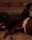 Filename=1998-1999_-_Little_Men_S01E07_mkv2223.jpg
Filesize=501KiB
Dimensions=1280x960
Date added=Aug 13, 2025 1998-1999_-_Little_Men_S01E07_mkv2223.jpg