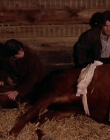 Filename=1998-1999_-_Little_Men_S01E07_mkv2225.jpg
Filesize=502KiB
Dimensions=1280x960
Date added=Aug 13, 2025 1998-1999_-_Little_Men_S01E07_mkv2225.jpg