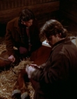 Filename=1998-1999_-_Little_Men_S01E07_mkv2326.jpg
Filesize=466KiB
Dimensions=1280x960
Date added=Aug 13, 2025 1998-1999_-_Little_Men_S01E07_mkv2326.jpg