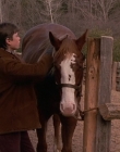 Filename=1998-1999_-_Little_Men_S01E09_mkv1818.jpg
Filesize=510KiB
Dimensions=1280x960
Date added=Aug 13, 2025 1998-1999_-_Little_Men_S01E09_mkv1818.jpg