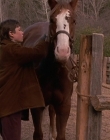 Filename=1998-1999_-_Little_Men_S01E09_mkv1819.jpg
Filesize=516KiB
Dimensions=1280x960
Date added=Aug 13, 2025 1998-1999_-_Little_Men_S01E09_mkv1819.jpg