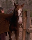 Filename=1998-1999_-_Little_Men_S01E09_mkv1820.jpg
Filesize=516KiB
Dimensions=1280x960
Date added=Aug 13, 2025 1998-1999_-_Little_Men_S01E09_mkv1820.jpg