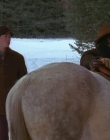 Filename=1998-1999_-_Little_Men_S01E10_mkv3307.jpg
Filesize=478KiB
Dimensions=1280x960
Date added=Aug 13, 2025 1998-1999_-_Little_Men_S01E10_mkv3307.jpg