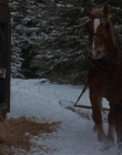 Filename=1998-1999_-_Little_Men_S01E10_mkv3918.jpg
Filesize=467KiB
Dimensions=1280x960
Date added=Aug 13, 2025 1998-1999_-_Little_Men_S01E10_mkv3918.jpg